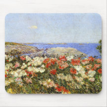 Wilde papavers op de eilanden van Shoals