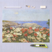 Wilde papavers op de eilanden van Shoals Tissuepapier (Craft)