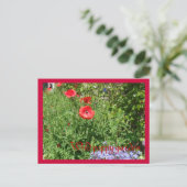 Wilde papavertuin briefkaart (Staand voorkant)