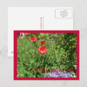 Wilde papavertuin briefkaart (Voorkant / Achterkant)