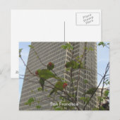 Wilde parrots van Telegraph Hill Briefkaart (Voorkant / Achterkant)