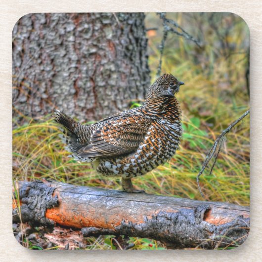 Wilde partridge & Forest Floor Game Bird Foto Onderzetter (Voorkant)