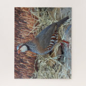 Wilde Patrijs Legpuzzel (Verticaal)