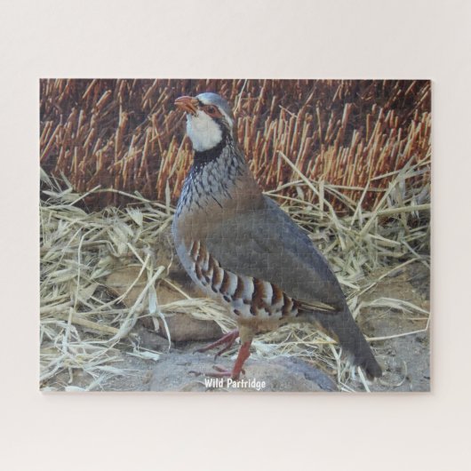 Wilde Patrijs Legpuzzel (Horizontaal)