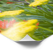 wilde penselen en biscuitwortelplanten van Indisch Foto Afdruk (Hoek)