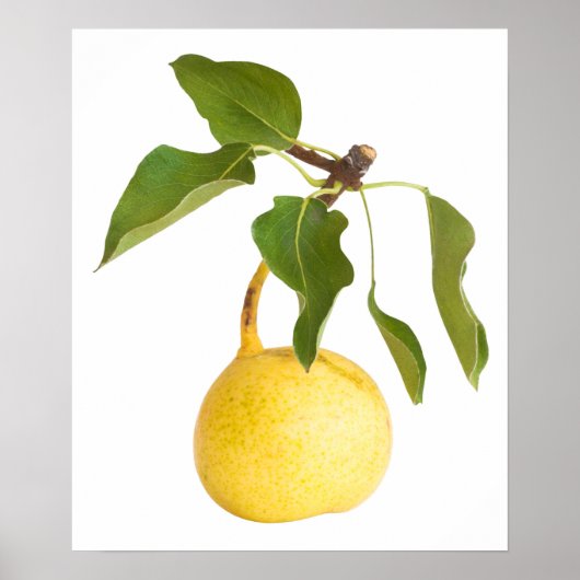 Wilde peren poster (Voorkant)