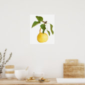 Wilde peren poster (Keuken)