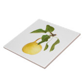 Wilde peren tegeltje (Zijkant)