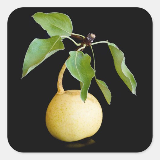Wilde peren vierkante sticker (Voorkant)