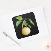 Wilde peren vierkante sticker (Envelop)