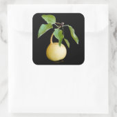 Wilde peren vierkante sticker (Tas)