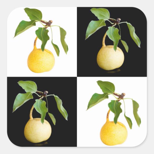 Wilde peren vierkante sticker (Voorkant)