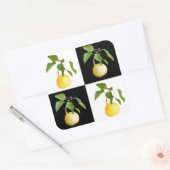 Wilde peren vierkante sticker (Envelop)