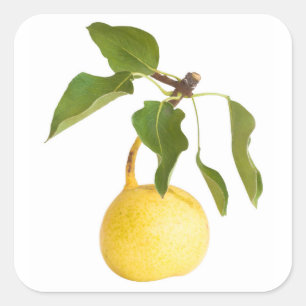 Wilde peren vierkante sticker