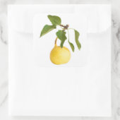 Wilde peren vierkante sticker (Tas)