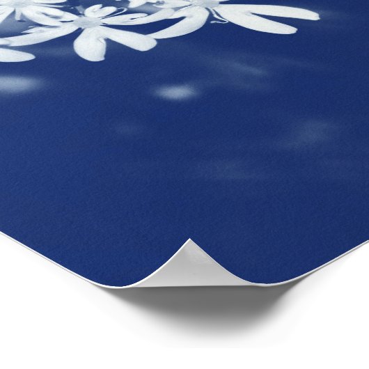 Wilde peterselie - Cyanotype-effect Poster (Hoek)