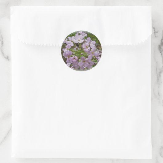 Wilde Phlox-Stickers Ronde Sticker (Tas)