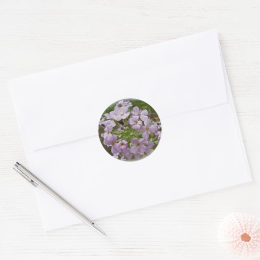 Wilde Phlox-Stickers Ronde Sticker (Envelop)
