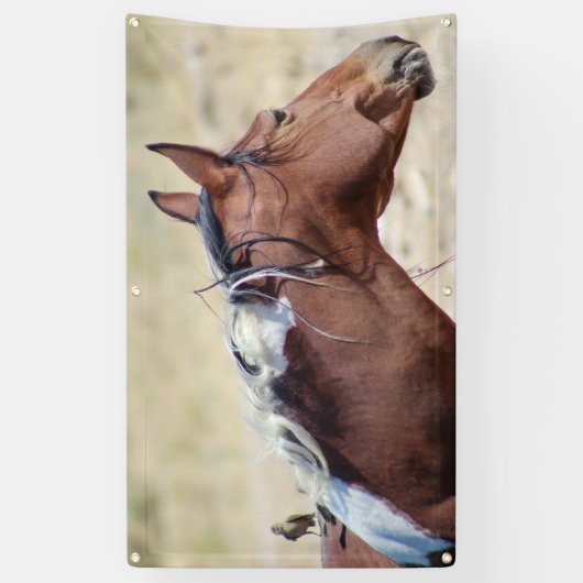 WILDE PINTO MET BIRD BANNER MET GROMMET (Verticaal)