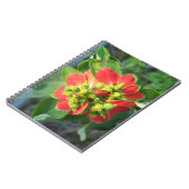 wilde Poinsettia Notitieboek (Linkerzijde)