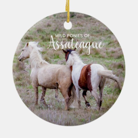 Wilde Ponies of Assateague kerstversier Keramisch Ornament (Achterkant)