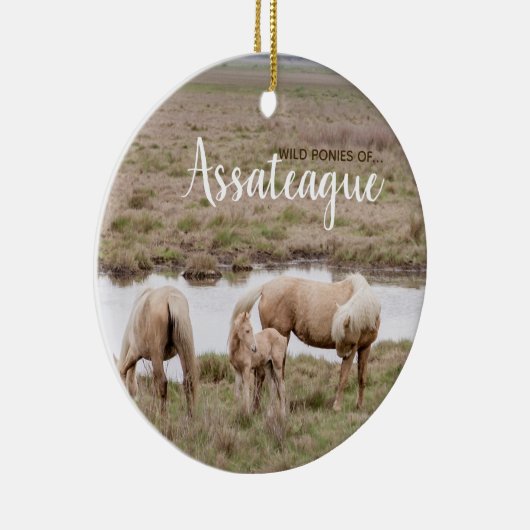 Wilde Ponies of Assateague Ornament (Rechts)