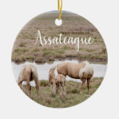Wilde Ponies of Assateague Ornament (Voorkant)