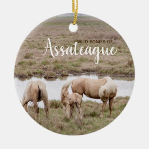 Wilde Ponies of Assateague Ornament