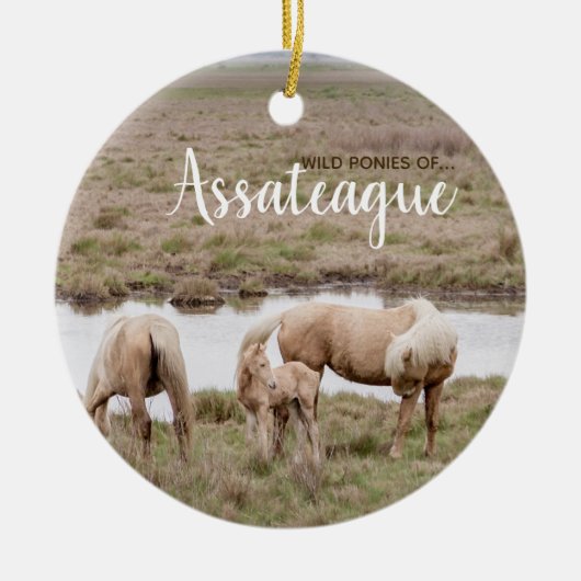 Wilde Ponies of Assateague Ornament (Voorkant)