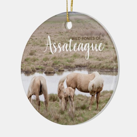 Wilde Ponies of Assateague Ornament (Links)