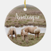 Wilde Ponies of Assateague Ornament (Achterkant)