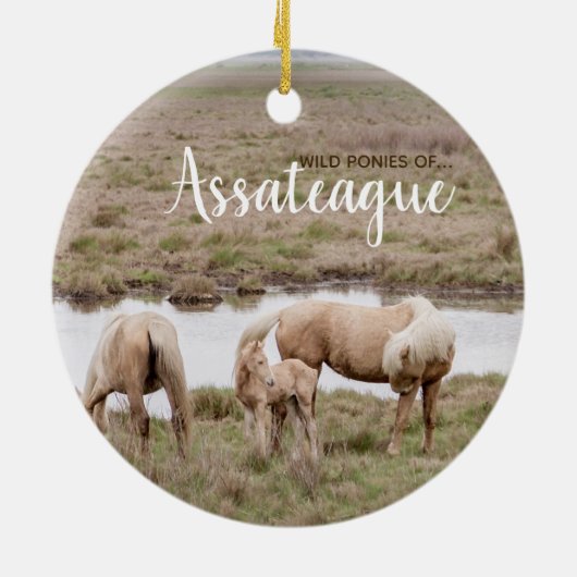 Wilde Ponies of Assateague Ornament (Achterkant)