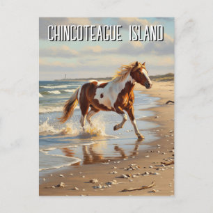 Wilde Pony in Chincoteague Island Virginia Reizen Briefkaart