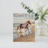 Wilde Pony in Chincoteague Island Virginia Reizen Briefkaart (Staand voorkant)