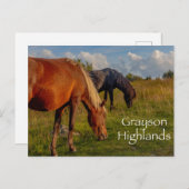 Wilde pony's in Grayson Highlands State Park Briefkaart (Voorkant / Achterkant)