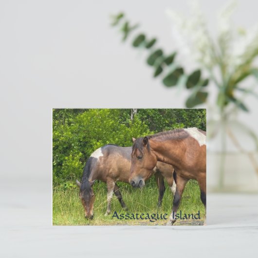 Wilde pony's op Assateauge Island Briefkaart (Staand voorkant)