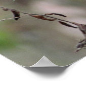 Wilde Poster - 16 x 20 (Hoek)