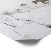 Wilde Posters in sneeuwwaarde (Hoek)