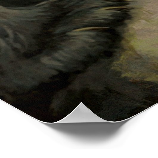 Wilde Prints Zalm Gevist Beer afdrukken (Hoek)