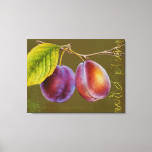 Wilde pruim - Prunus domestica canvas kunst (olijf
