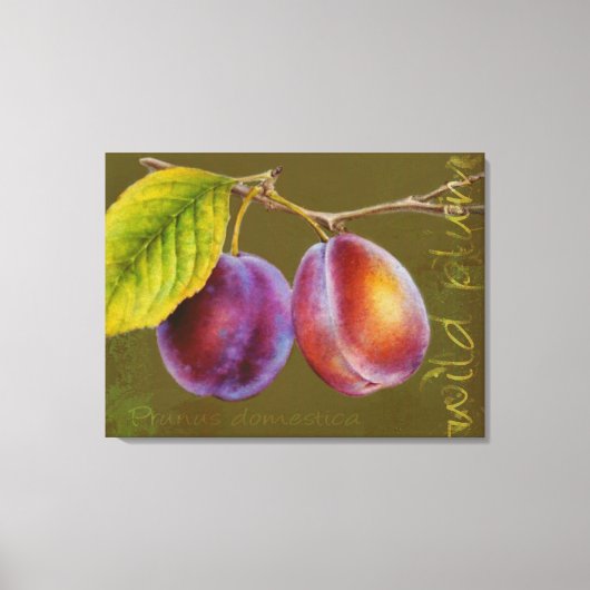 Wilde pruim - Prunus domestica canvas kunst (olijf (Voorkant)