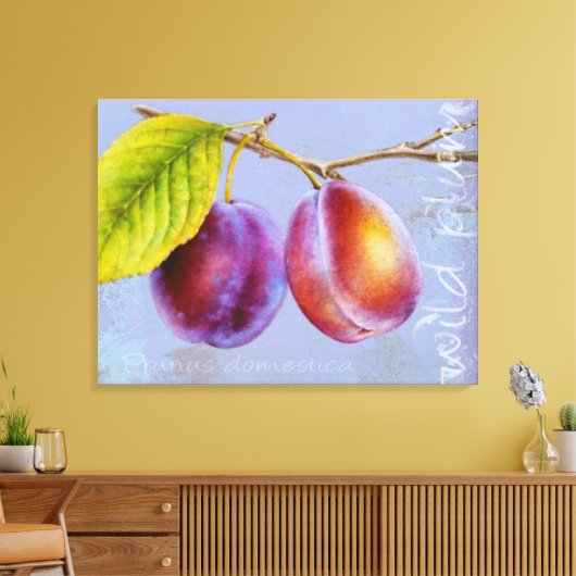 Wilde pruimen - Prunus domestica canvas art muve (Insitu (Woonkamer))