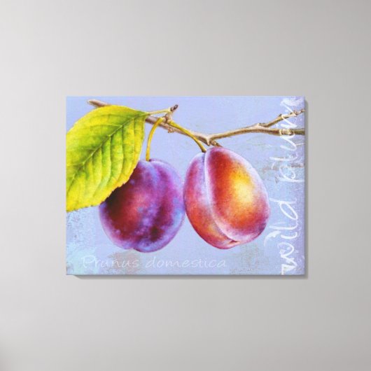 Wilde pruimen - Prunus domestica canvas art muve Afdruk (Voorkant)