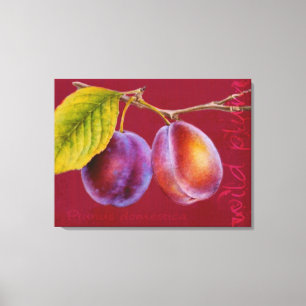 Wilde pruimen - Prunus domestica canvas kunst (rij