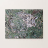 Wilde puzzels: Langoorige oraal Legpuzzel (Horizontaal)