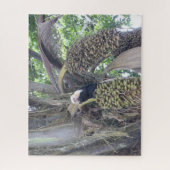 Wilde puzzels: Schudkapaap in de boom Legpuzzel (Verticaal)