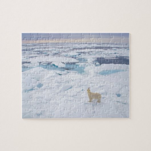 Wilde Puzzle-Polar-Beer Legpuzzel (Horizontaal)
