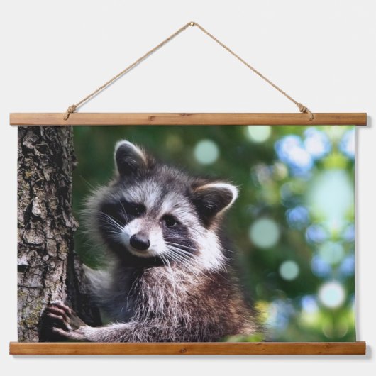 Wilde Raccoon en Orbs op het bos Hangend Wandkleed (Voorkant)