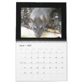Wilde ratten gepersonaliseerde kalender (Mar 2027)