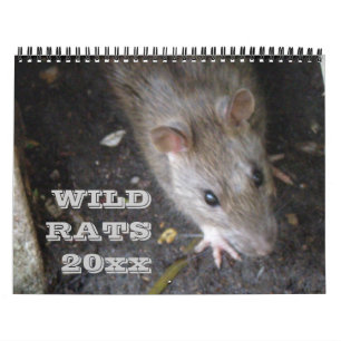 Wilde ratten gepersonaliseerde kalender